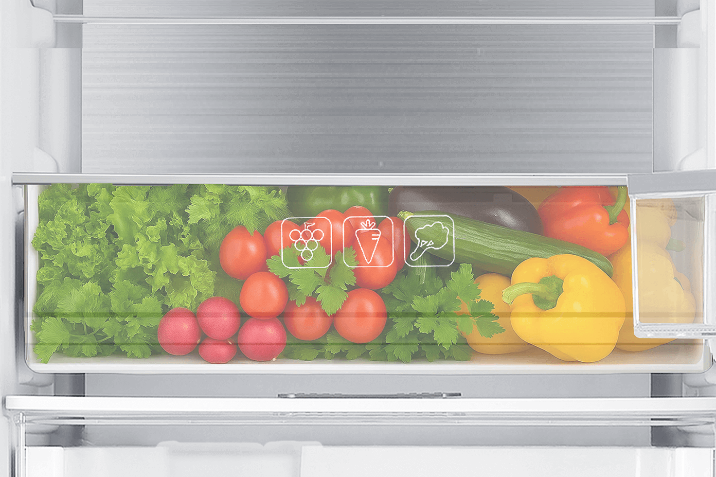 Fresh Zone — контейнер, що зберігає натуральну свіжість продуктів довше.