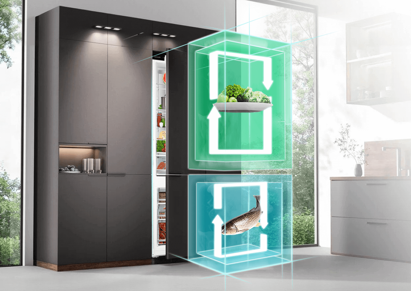 Два кліматичні контури